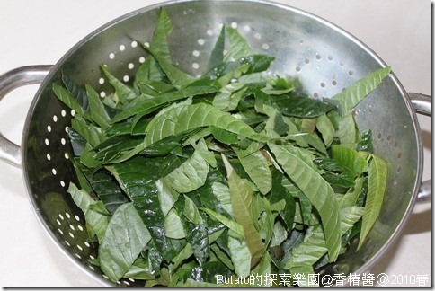 自製新鮮香椿醬-去梗