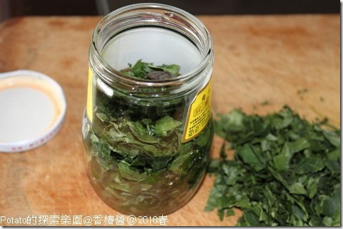 自製新鮮香椿醬-裝瓶 