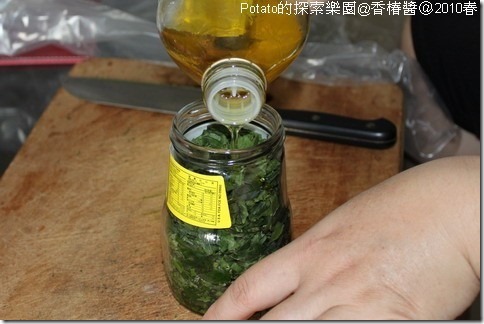 自製新鮮香椿醬-加橄欖油 