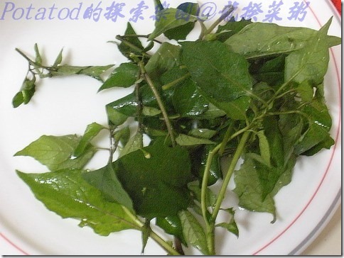 龍葵(烏甜菜)粥02