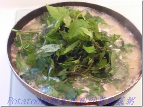 龍葵(烏甜菜)粥05