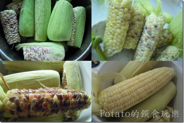 自己來煮好吃的玉米