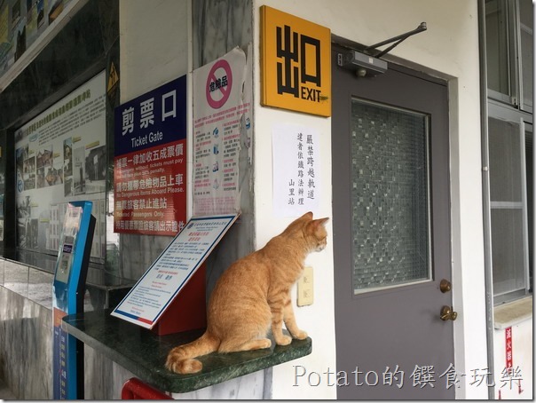 山里車站-貓