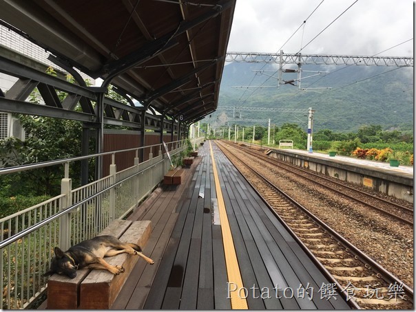 山里車站-狗