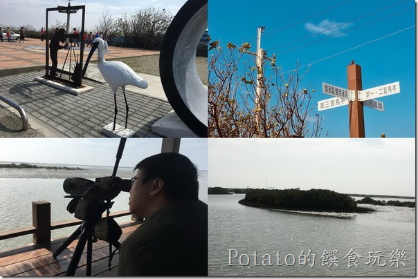 七股黑面琵鷺保護區