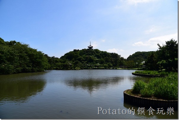 66680053_2277056145717501_5309741890495578112_o