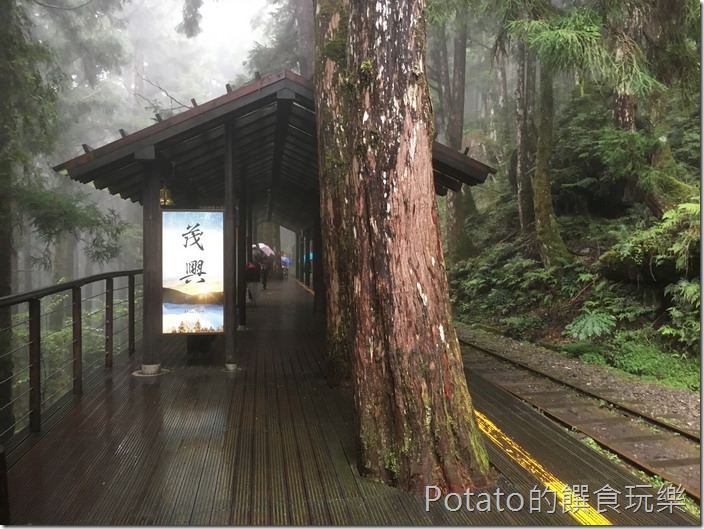 太平山磞磞車茂興站1