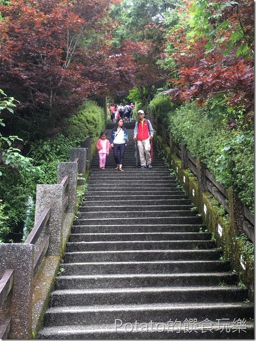 太平山磞磞車站階梯11