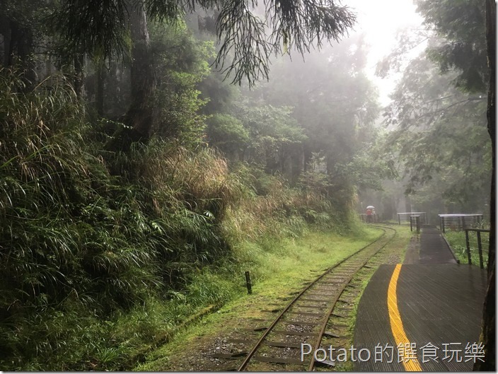 太平山磞磞車茂興站景色11