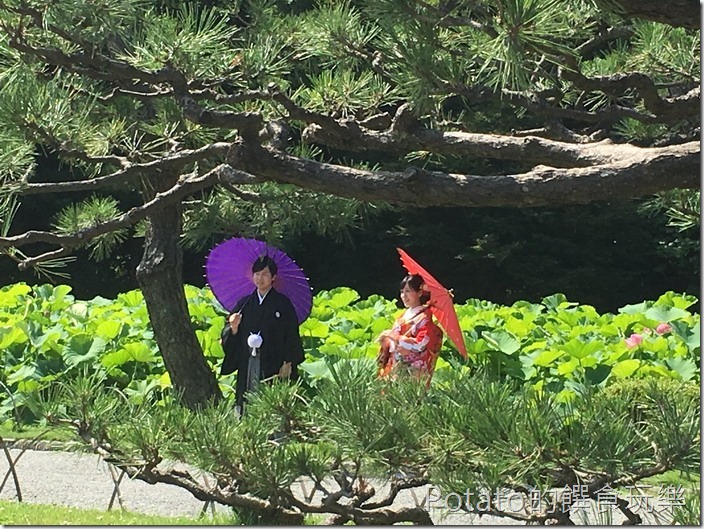 日本三溪園婚紗照1