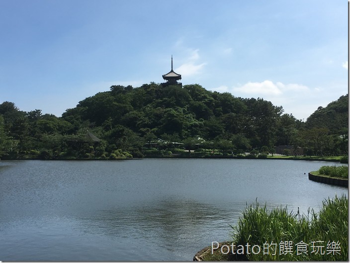 日本三溪園園景11