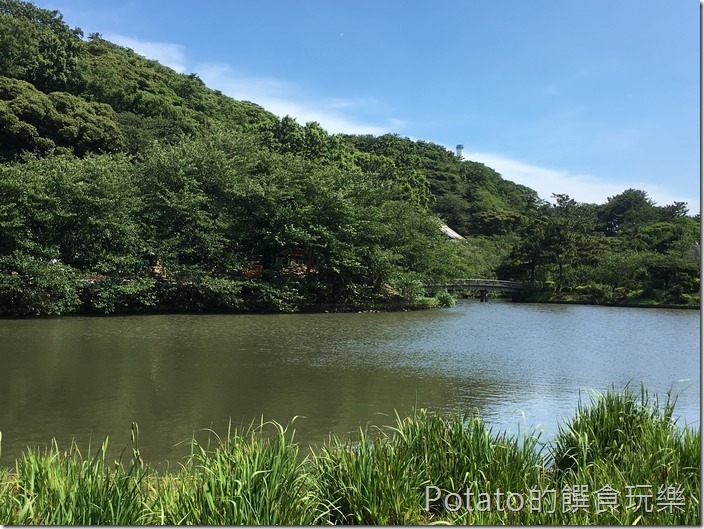 日本三溪園園景22