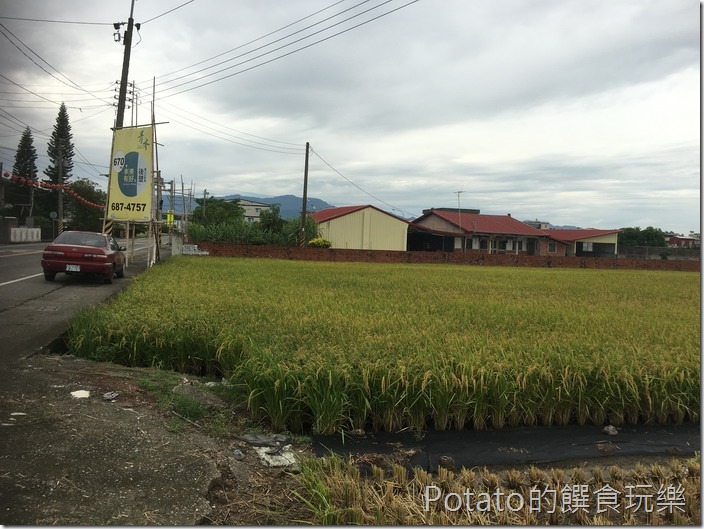上茄苳鐵道荷花南911
