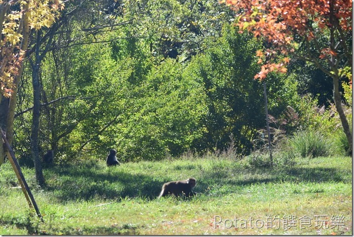 123100598_3428422990580805_2197484820389197086_o