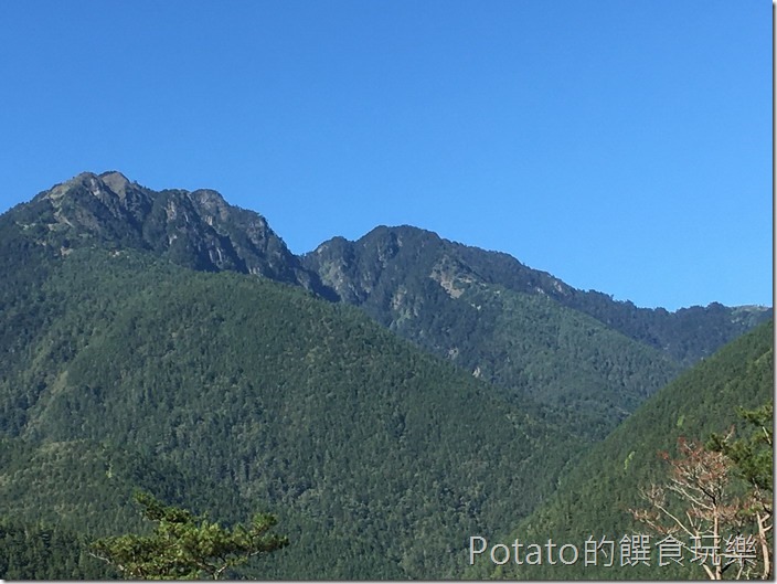 武陵農場睡美人