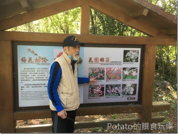 武陵農場導覽員