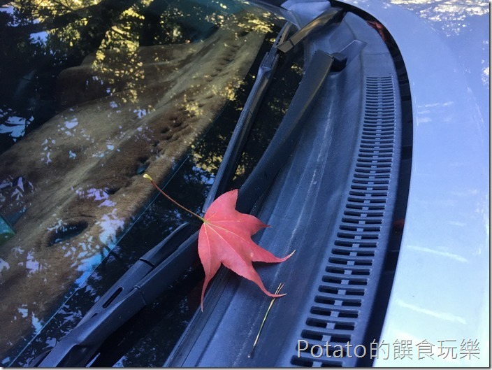武陵農場楓情車窗