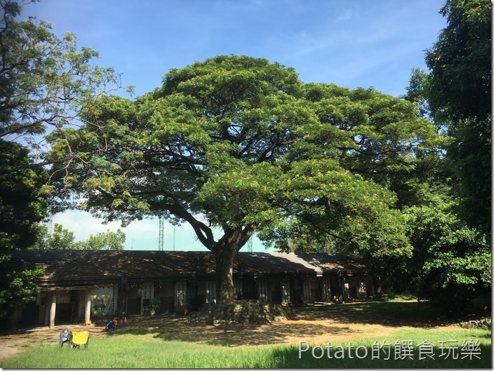 橋頭糖廠之原單身宿舍11