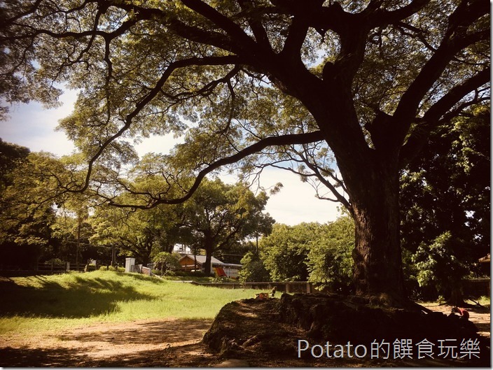 橋頭糖廠之原單身宿舍庭院