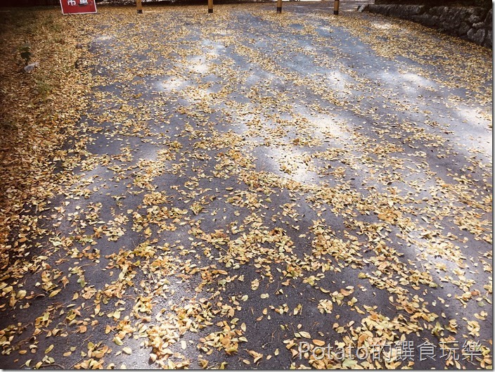 橋頭糖廠之秋景