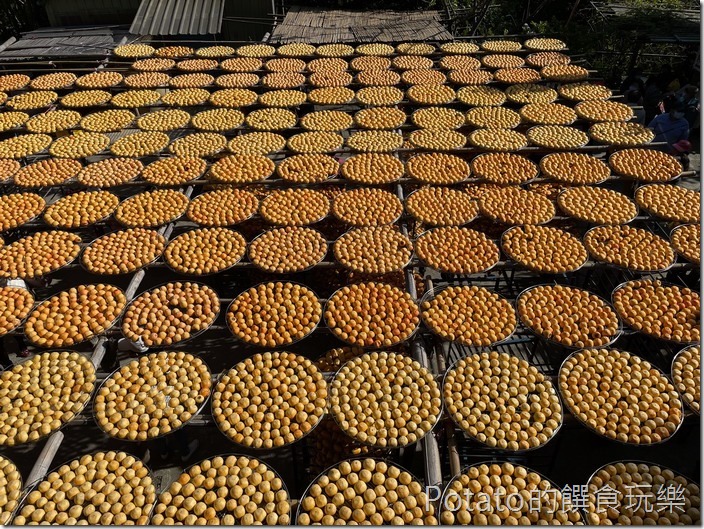 味衛佳柿餅農場10