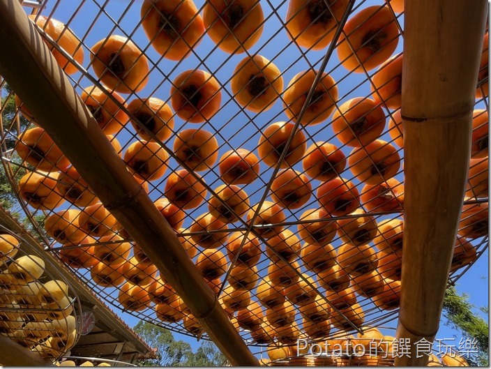 味衛佳柿餅農場5