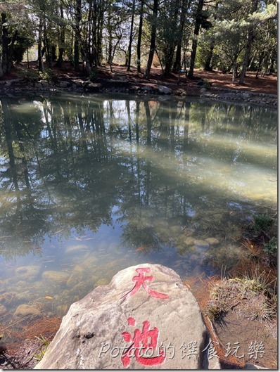 福壽山農場天池3