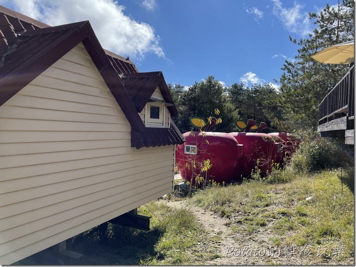 福壽山農場露營區1