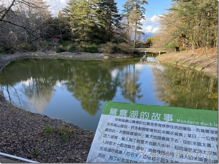 福壽山農場鴛鴦湖