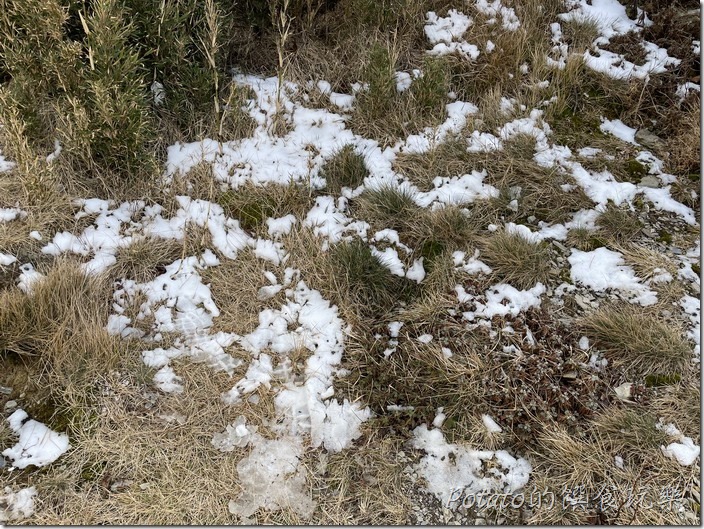 雪之武嶺殘雪2