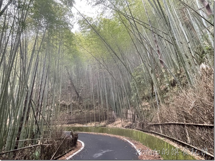 五元二角社區遊憩綠廊嵐山4