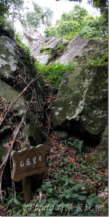 豐山巨榕古廟步道石龜望月