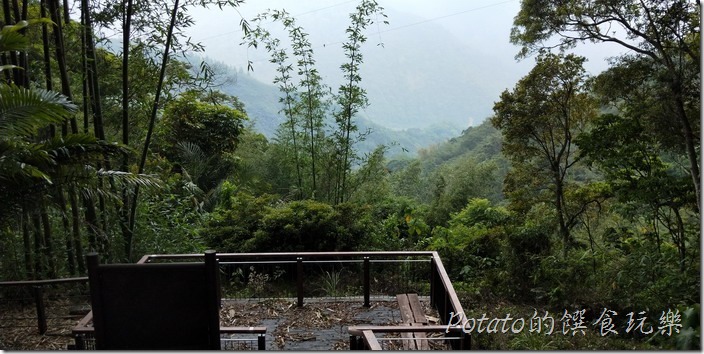 豐山巨榕古廟步道3