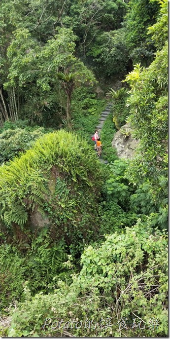 豐山巨榕古廟步道5
