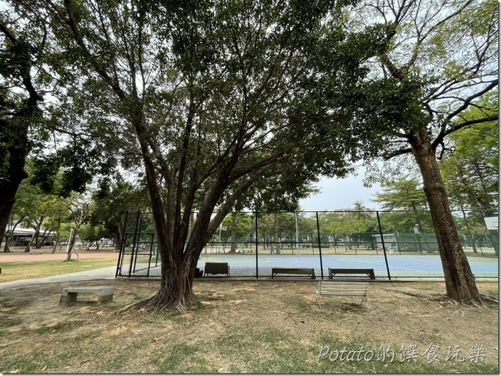 【金三益健康茶飲】森林店