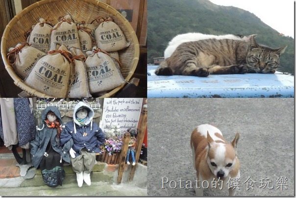 九份好好玩--有貓有狗
